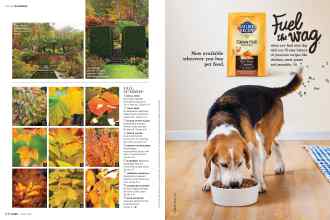 Better Homes & Gardens October 2017 Magazine Article: Page 100