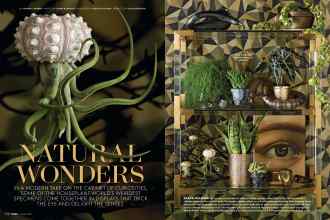 Better Homes & Gardens October 2017 Magazine Article: NATURAL WONDERS