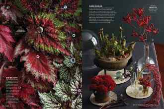 Better Homes & Gardens October 2017 Magazine Article: Page 154