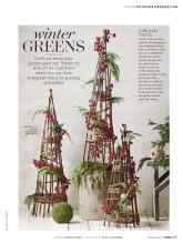 Better Homes & Gardens December 2017 Magazine Article: Winter GREENS
