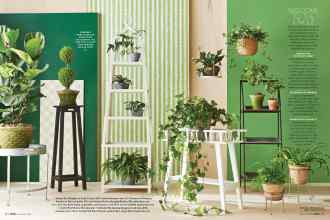 Better Homes & Gardens January 2018 Magazine Article: Page 84