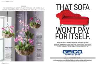 Better Homes & Gardens February 2018 Magazine Article: Page 38