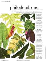 Better Homes & Gardens March 2018 Magazine Article: Philodendrons