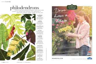 Better Homes & Gardens March 2018 Magazine Article: Page 54