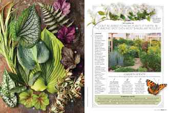 Better Homes & Gardens March 2018 Magazine Article: Page 90