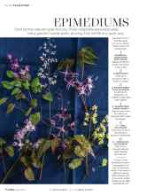 Better Homes & Gardens April 2018 Magazine Article: EPIMEDIUMS