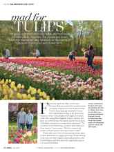Better Homes & Gardens April 2018 Magazine Article: Mad for TULIPS