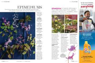 Better Homes & Gardens April 2018 Magazine Article: Page 76