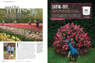 Better Homes & Gardens April 2018 Magazine Article: Page 80