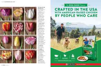 Better Homes & Gardens April 2018 Magazine Article: Page 82