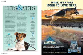 Better Homes & Gardens April 2018 Magazine Article: Page 150