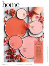 Better Homes & Gardens May 2018 Magazine Article: QUINCE BLOSSOM