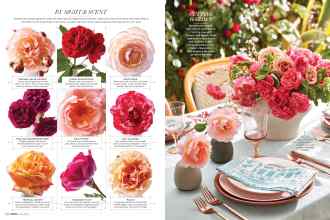 Better Homes & Gardens June 2018 Magazine Article: Page 114