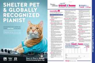 Better Homes & Gardens June 2018 Magazine Article: Page 142