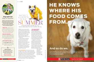 Better Homes & Gardens June 2018 Magazine Article: Page 156