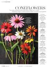 Better Homes & Gardens August 2018 Magazine Article: CONEFLOWERS