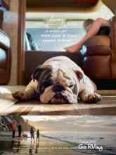 Better Homes & Gardens August 2018 Magazine Article: Page 154