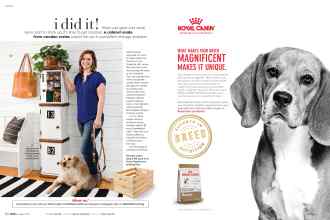 Better Homes & Gardens August 2018 Magazine Article: Page 62