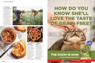 Better Homes & Gardens August 2018 Magazine Article: Page 74