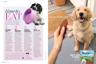 Better Homes & Gardens August 2018 Magazine Article: Page 138