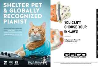 Better Homes & Gardens September 2018 Magazine Article: Page 60