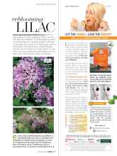 Better Homes & Gardens October 2018 Magazine Article: Reblooming LILAC