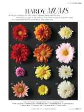Better Homes & Gardens October 2018 Magazine Article: HARDY MUMS