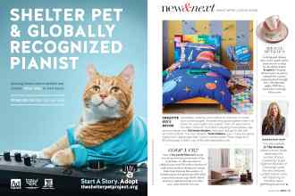 Better Homes & Gardens October 2018 Magazine Article: Page 18