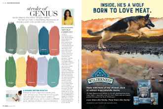 Better Homes & Gardens October 2018 Magazine Article: Page 90