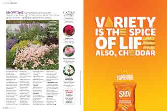 Better Homes & Gardens October 2018 Magazine Article: Page 96