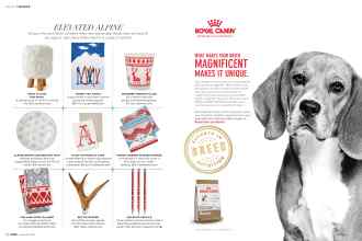 Better Homes & Gardens November 2018 Magazine Article: Page 14