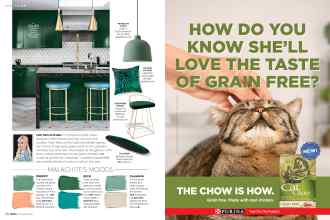 Better Homes & Gardens November 2018 Magazine Article: Page 26