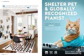 Better Homes & Gardens November 2018 Magazine Article: Page 40