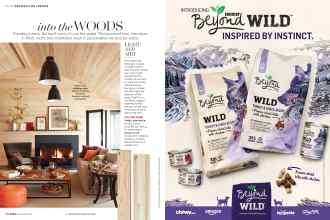 Better Homes & Gardens November 2018 Magazine Article: Page 58