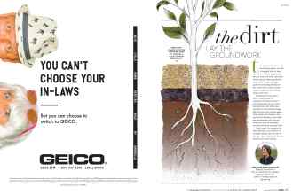 Better Homes & Gardens November 2018 Magazine Article: Page 64