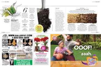 Better Homes & Gardens November 2018 Magazine Article: Page 66