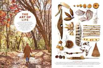 Better Homes & Gardens November 2018 Magazine Article: THE ART OF LIFE