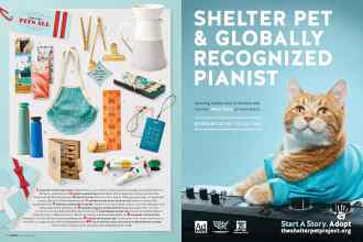 Better Homes & Gardens December 2018 Magazine Article: Page 24