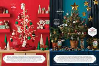 Better Homes & Gardens December 2018 Magazine Article: Page 110