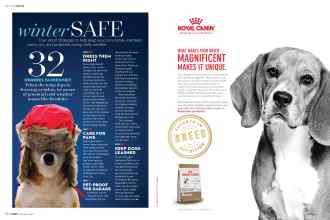 Better Homes & Gardens December 2018 Magazine Article: Page 134