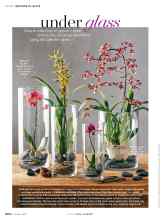 Better Homes & Gardens January 2019 Magazine Article: Under glass