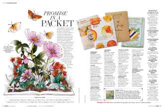 Better Homes & Gardens January 2019 Magazine Article: PROMISE IN A PACKET