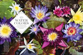 Better Homes & Gardens January 2019 Magazine Article: WATER COLORS