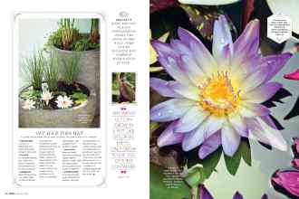 Better Homes & Gardens January 2019 Magazine Article: Page 86