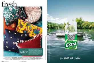 Better Homes & Gardens February 2019 Magazine Article: Page 8