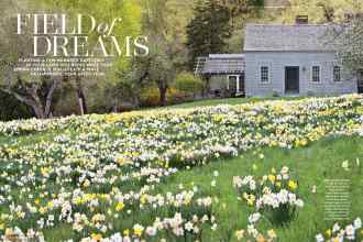 Better Homes & Gardens February 2019 Magazine Article: FIELD of DREAMS