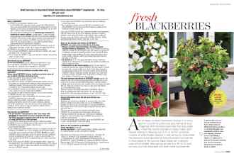 Better Homes & Gardens February 2019 Magazine Article: Page 108