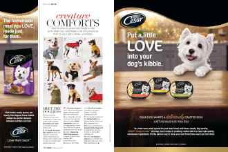 Better Homes & Gardens February 2019 Magazine Article: Page 110