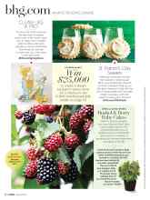 Better Homes & Gardens March 2019 Magazine Article: Bushel & Berry Baby Cakes