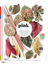 Better Homes & Gardens March 2019 Magazine Article: Pink PLANTS